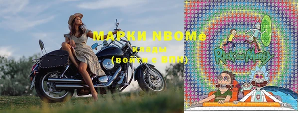 прущие грибы Абаза