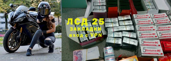 мет Алексин
