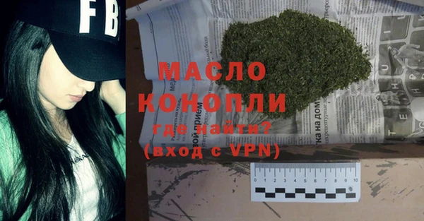 мет Алексин